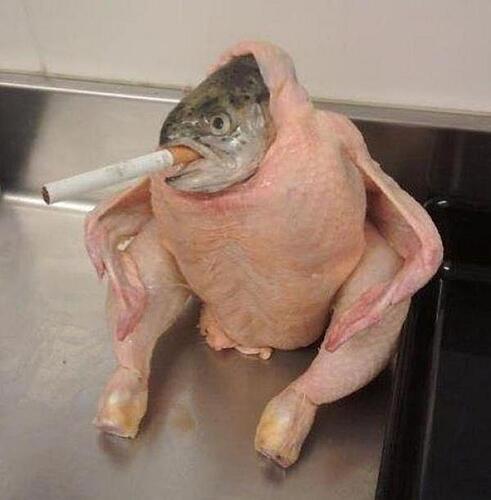 Smoking Fish Chicken
