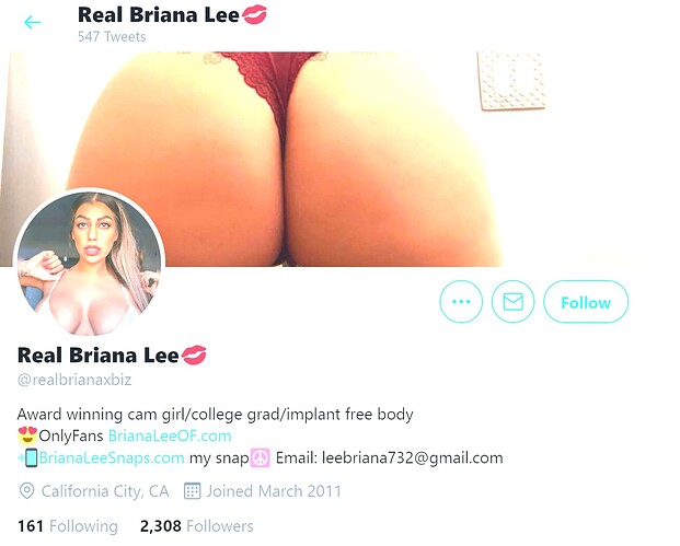 Briana Lee Twitter